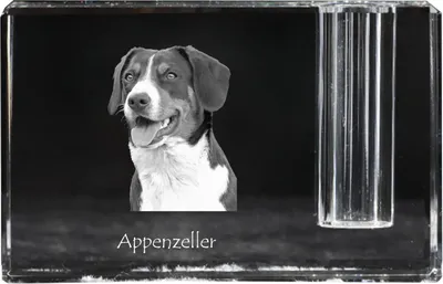 Produktbild von Appenzeller Sennenhund, Appenzellerhund - Stifthalter, Kristallorganizer mit Hundefoto, einzigartige Schreibtischdekoration der Marke Art-Dog
