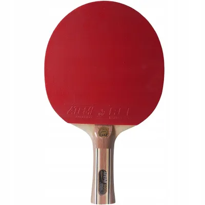Immagine prodotto di Atemi Racchette New 5000 Pro Concave, R0649CV
