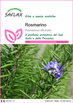 Immagine prodotto di SAFLAX  - Rosmarino - 100 semi - Rosmarinus