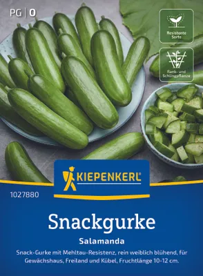 Produktbild von Kiepenkerl Snackgurkensamen Salamanda F1 Cucumis sativus 8 Pflanzen