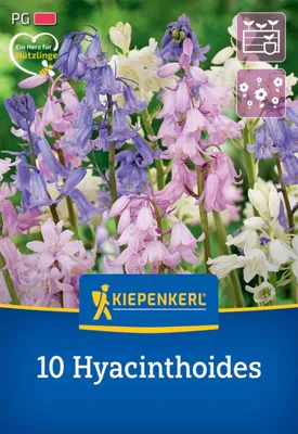 Produktbild von Kiepenkerl Hasenglöckchen Mischung Hyacinthoides hispanica 10 Zwiebeln