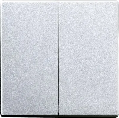 Produktbild von Busch-Jaeger 1751-0-2942, Tasten, Silber, 63 mm, 63 mm, 1 Stück(e)
