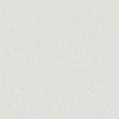 Immagine prodotto di A.S. Creation | Attractive 2 | 390398 | Carta da parati in tessuto non tessuto | Monocolore | 10,05 x 0,53 m | Verde | Soggiorno | Atrio | Ufficio | Cucina | Salotti
