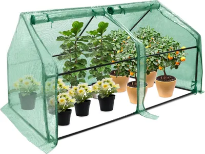A small greenhouse with several potted plants inside.