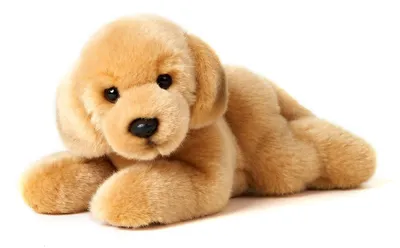 Produktbild von Uni-Toys - Golden Retriever Welpe, liegend - 24 cm (Länge) - Plüsch-Hund, Haustier - Plüschtier, Kuscheltier