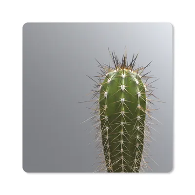 Produktbild von MuchoWow® Mauspad Mousepad Kaktus botanischer Druck 30x30 cm - Mousepads - Maus Mat - Pad - Mausunterlage - Gaming