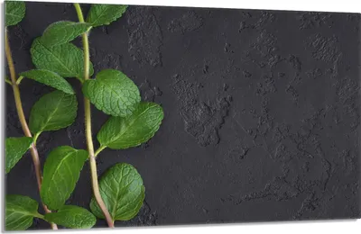Produktbild von Glas-Herdplattenschutz 80x52 Mint