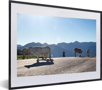 Produktbild von MuchoWow® MuchoWow® Gerahmtes Poster Schottische Hochlandrind - Licht - Berge - Natur 60x40 cm - Poster mit zchwarzem Bilderrahmen - Schlafzimmer - Plakat in Rahmen - Drucken
