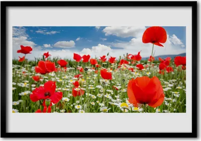 Produktbild von Bild 70x50 MDF-Rahmen Wandkunst Wiese Blumen Natur