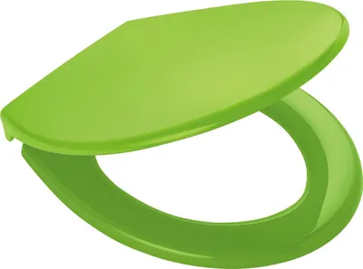 Produktbild von Ridder WC-Sitz Miami mit Soft-Close  grün 02101175