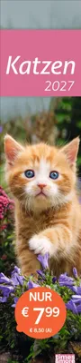 Produktbild von times&more Katzen Langplaner 2027