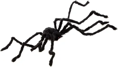 Immagine prodotto di Ragno gigante decorazione di Halloween nero 100 cm - taglia unica