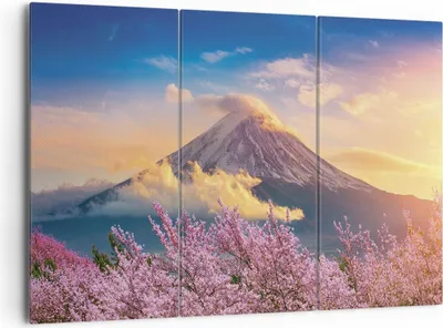 Produktbild von Bild auf Leinwand - Leinwandbild - 3 Teile - Fuji Blume Kirsche - 165x110cm - Wand Bild - Wanddeko - Wandbilder - Leinwanddruck - Bilder - Wanddekoration - Leinwand bilder - Wandbild - CE165x110-4490