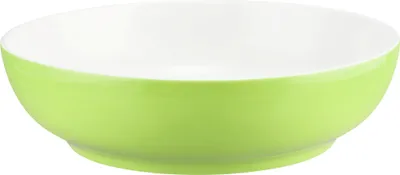 Zdjęcie produktu dla Seltmann Weiden Foodbowl 25 cm Liberty Pure Colors lime green 001.776048