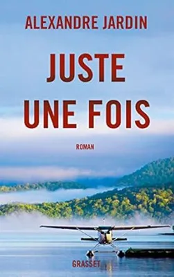 Image de Juste une fois - roman