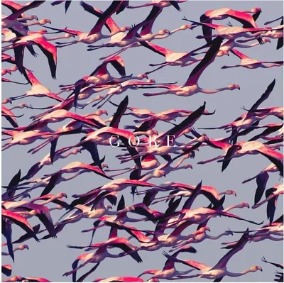 Immagine prodotto di Deftones - Gore (CD)
