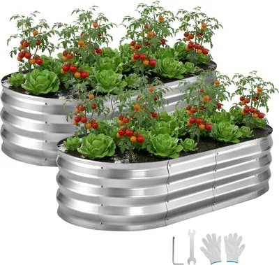 Image de VEVOR Potager surélevé en métal, lot de 2, 120 x 60 x 30 cm, potager ovale, kit de bacs à fleurs pour l'extérieur, potager avec gants, parterre de fleurs, bac à fleurs et légumes, argent