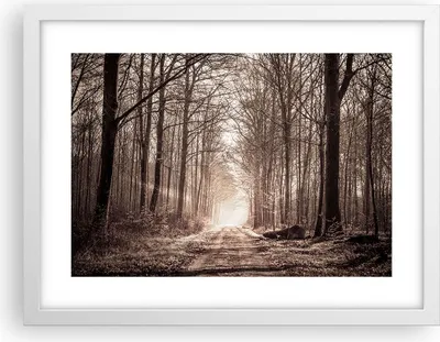 Produktbild von Gerahmtes Poster - Weißer Rahmen - Wald Straße Baum - 40x30 cm - Wand Bild - Wanddeko - Wandbilder - Kunstposter - Wandposter - Bilderrahmen - Bilder - Kunstdruck - Wandbild - P2WAA40x30-3620