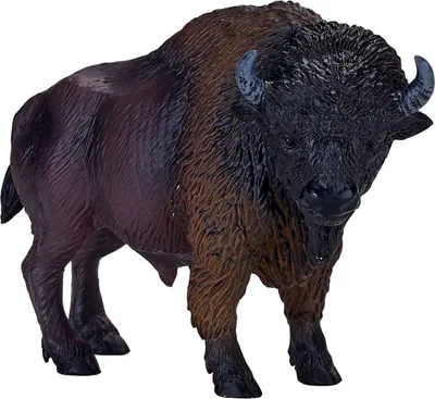 Produktbild von Mojo Wildlife American Bizon - 381076