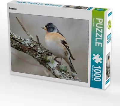 Produktbild von CALVENDO Puzzle Bergfink | 1000 Teile Lege-Größe 64x48cm Foto-Puzzle für glückliche Stunden