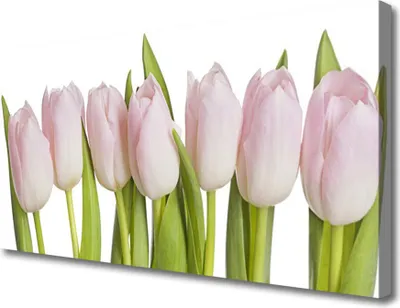 Produktbild von Tulup Leinwand-Bilder 100x50 Wandbild Canvas Kunstdruck Tulpen Pflanzen