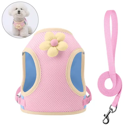 Produktbild von Hundegeschirr mit Leine,Dopamin Farbblock Brustgeschirr für kleine Hunde & Katzen, Atmungsaktiv, Rosa, Größe XS