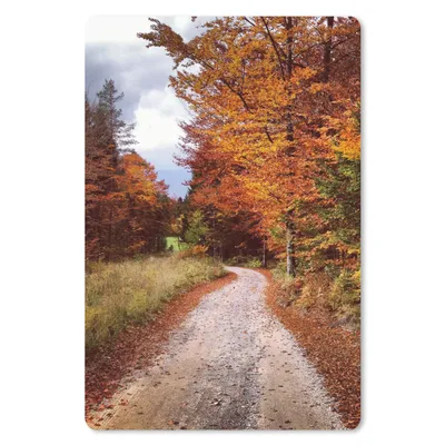 Produktbild von MuchoWow® Mauspad Mousepad Herbst - Herbstblätter - Weg - Wald 40x60 cm - Mousepads - Maus Mat - Pad - Mausunterlage - Schreibtisch Accesoire