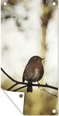 Produktbild von MuchoWow® 80x160 cm Outdoor-Poster Gartendeko Sichtschutz Garten Poster für den Garten  Natur - Rotkehlchen - Zweig