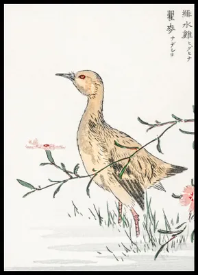 Produktbild von Plakat 50x70cm Rotschenkel, Japanische Kashu Vintage für das Wohnzimmer