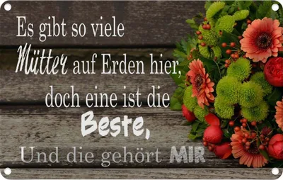 Produktbild von vianmo Blechschild 20x30 cm es gibt viele Mütter doch eine Dekoration Spruch Zitat