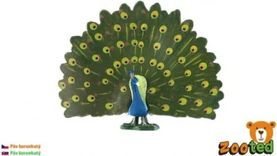 Produktbild von Gekrönter Pfau zooted Plastik 12cm