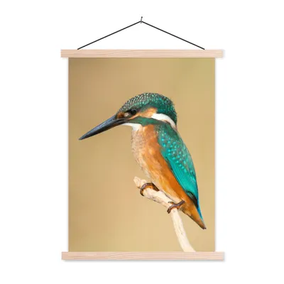Produktbild von MuchoWow® Textilposter Eisvogel - Tiere - Vogel 60x80 cm mit holzfarbenen Rahmen - Wandbild