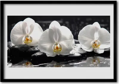 Produktbild von Bild 70x50 MDF-Rahmen Wandkunst Weiße Orchidee Blume