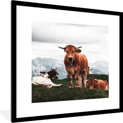 Produktbild von MuchoWow® Gerahmtes Poster Tiere - Kuh - Berg 40x40 cm - Poster mit Schwarzem Bilderrahmen Wandposter Rahmen Foto Bilder - Poster - Plakat im Rahmen