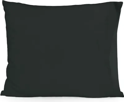 Image de Taie d'oreiller HappyFriday BASIC Noir 15 x 1 x 38 cm