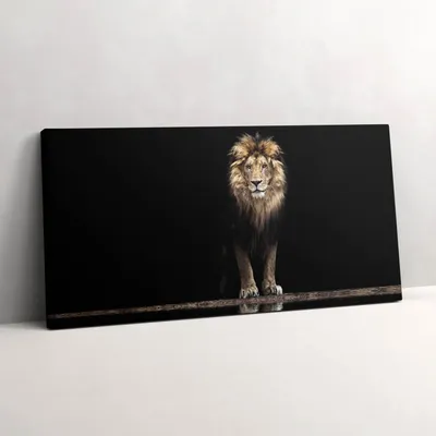 Produktbild von Einsames wildes Tier Löwe – Leinwandbild Wandbild – 120x60 cm – Leinwandbilder – Wandbilder – Schlafzimmer – Flur