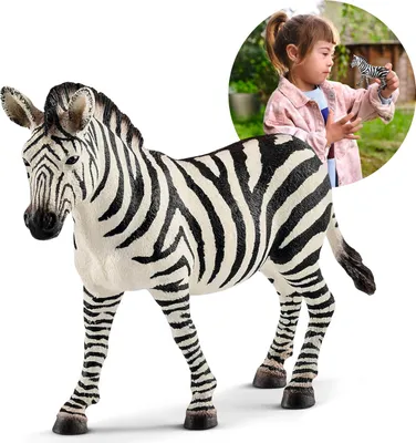 Produktbild von Schleich Wild Life - Zebraweibchen, Figur für Kinder ab 3 Jahren