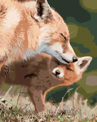 Produktbild von Zuty - Malen nach Zahlen - FUCHS UND JUNGES, 40x50 cm, mit Keilrahmen (bereits gespannt)