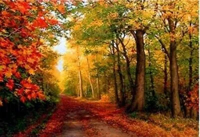 Produktbild von Norimpex Diamantov kleiner Ofen Herbst im Wald 30x40cm