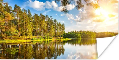 Produktbild von MuchoWow® Poster Bäume - Wasser - Sonne 40x20 cm - Poster für die Wand - Poster Schlafzimmer