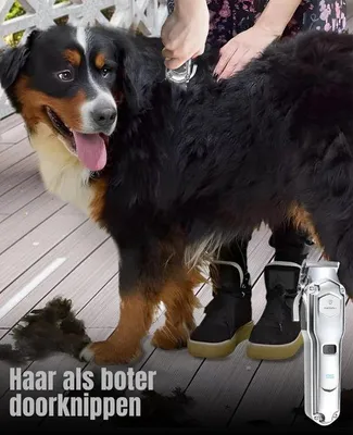Immagine prodotto di Set da toelettatura e cura del pelo per cani a tre testine - Rasoio impermeabile IPX7 per pelo folto e cura del pelo di cani e gatti
