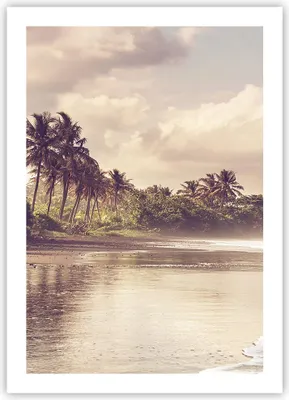 Produktbild von Poster - Poster ohne Rahmen - Palmen Strand Wasser - 50x70 cm - Wand Bild - Wanddeko - Wandbilder - Kunstposter - Wandposter - Bilder - Kunstdruck - Wanddekoration - Wandbild - P2XPA50x70-4917