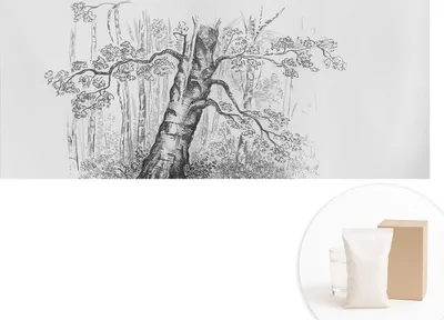 Obrázek produktu pro Samolepicí fototapeta – nástěnné malby do obývacího pokoje – 208 x 146 cm – dekorativní fólie na stěny – moderní design pro výzdobu stěn – tapety do interiérů – lesní strom