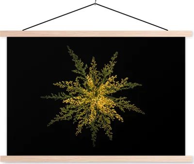 Produktbild von MuchoWow® Textilposter Eine Goldrutenblüte auf schwarzem Hintergrund 60x40 cm mit holzfarbenen Rahmen - Bilder