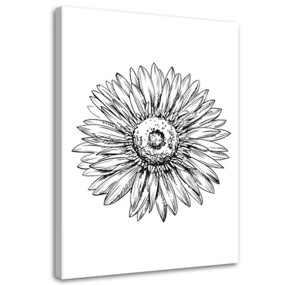 Produktbild von Leinwandbild blumenskizze 40x60 cm Feeby grau wandbild bereit zum aufhängen