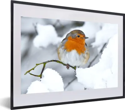 Produktbild von MuchoWow® MuchoWow® Gerahmtes Poster Rotkehlchen - Schnee - Winter 60x40 cm - Poster mit zchwarzem Bilderrahmen - Schlafzimmer - Plakat in Rahmen - Drucken