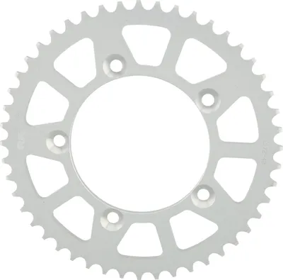 Immagine prodotto di Pignone RK "A2172" 420, alluminio anodizzato, argento 48 denti