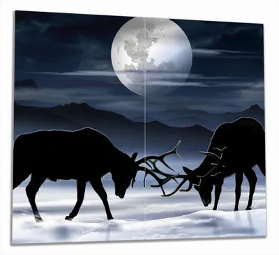 Produktbild von Wallario Herdabdeckplatte aus Glas, Größe 60 x 52 cm 2-teilig, Motiv Elch im Schnee bei Mondschein - Silhouette am Abend