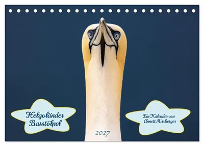 Produktbild von Helgoländer Basstölpel 2027 (Tischkalender 2027 DIN A5 quer), CALVENDO Monatskalender