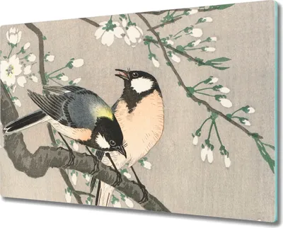 Produktbild von Coloray Hackbrett Küchenbrett Kochplattenabdeckung Schneidebrett Herdabdeckplatte 80x52 cm - Natur Tiere Vögel